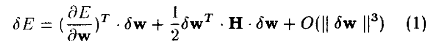 Tayler Expansion of Loss Function